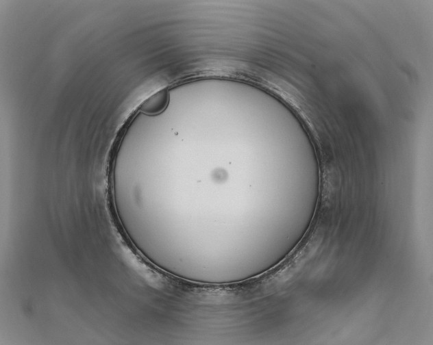 X0000111511042200908111304