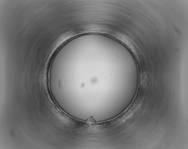 X0000111511043200908111304