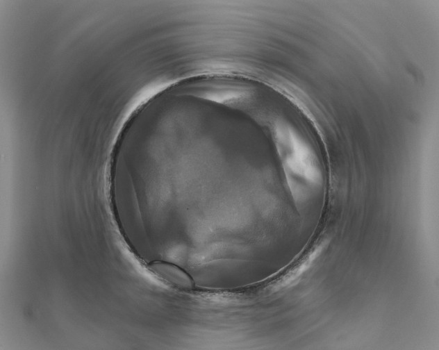 X0000111511045200908111304