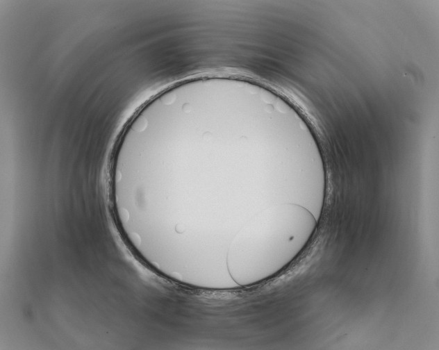 X0000111511046200908111304