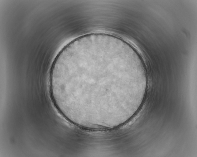 X0000111511048200908111305