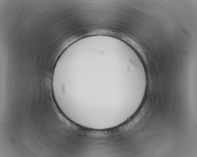 X0000111511049200908111305