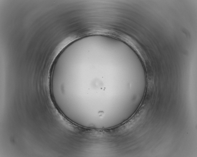 X0000111511050200908111305