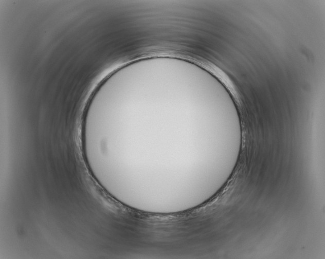 X0000111511051200908111305