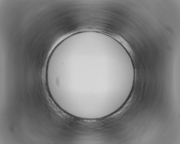 X0000111511052200908111305