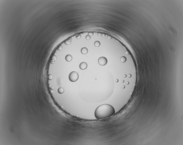 X0000111511053200908111305