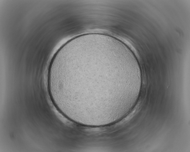 X0000111511054200908111305