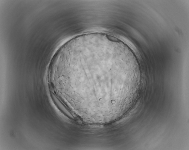 X0000111511055200908111305