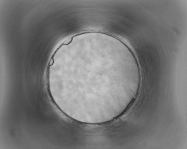 X0000111511056200908111305