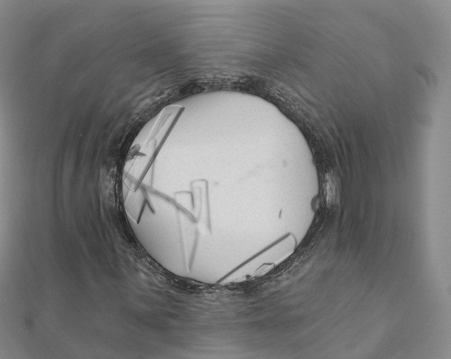 X0000111511059200908111304