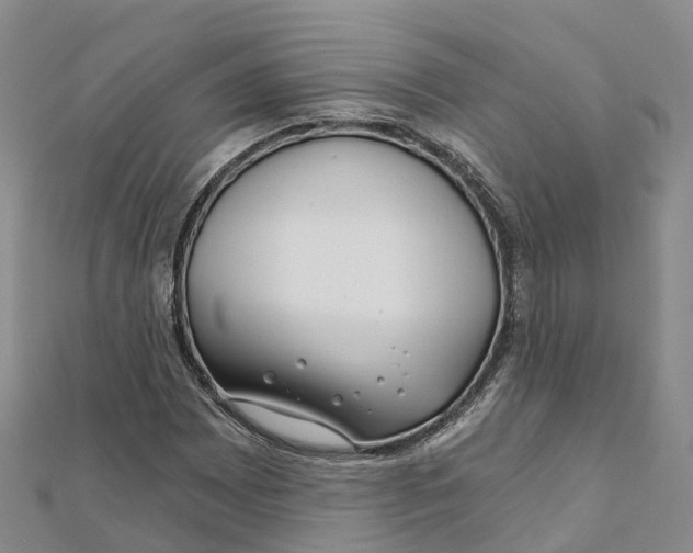 X0000111511065200908111304