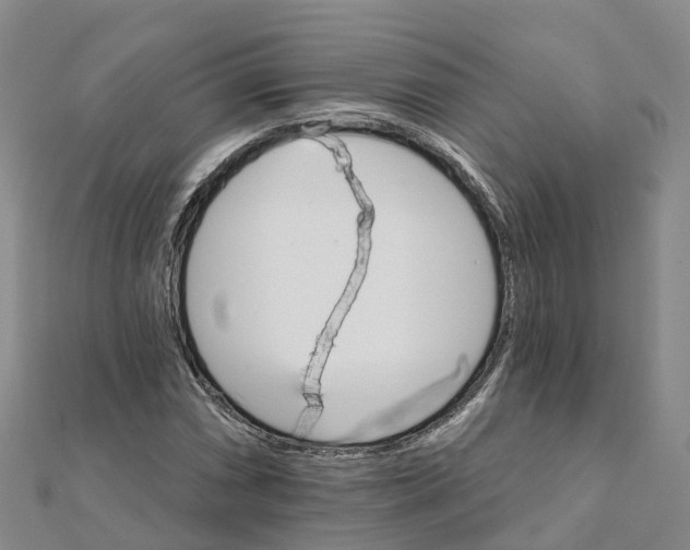 X0000111511066200908111304