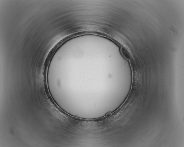 X0000111511068200908111304