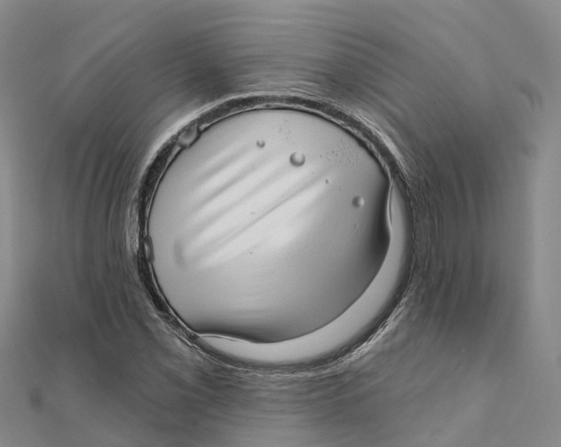 X0000111511069200908111304