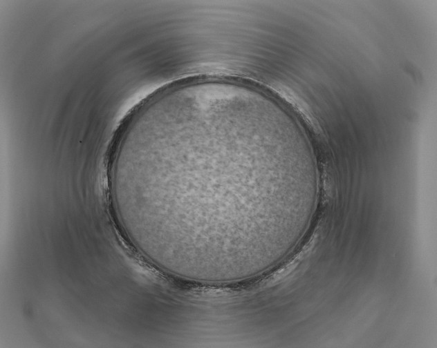 X0000111511070200908111304