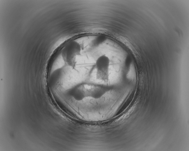 X0000111511071200908111304