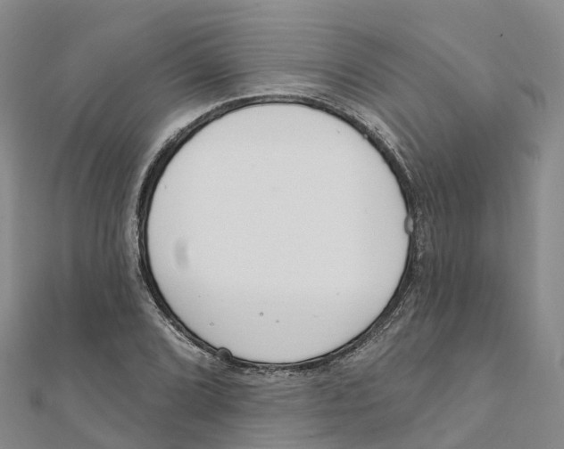X0000111511072200908111304