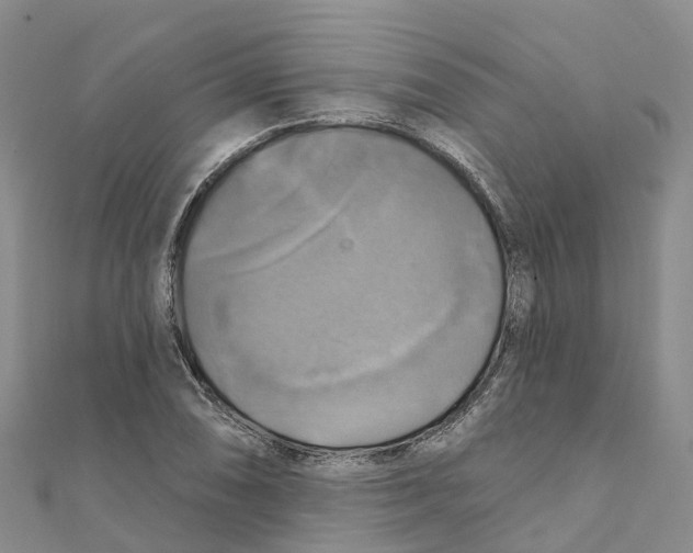 X0000111511074200908111304