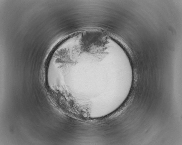 X0000111511075200908111304
