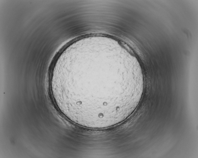 X0000111511076200908111304