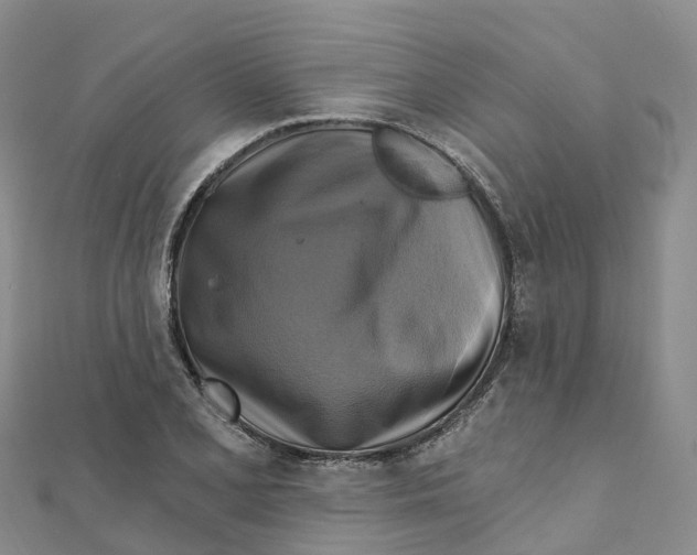 X0000111511077200908111304