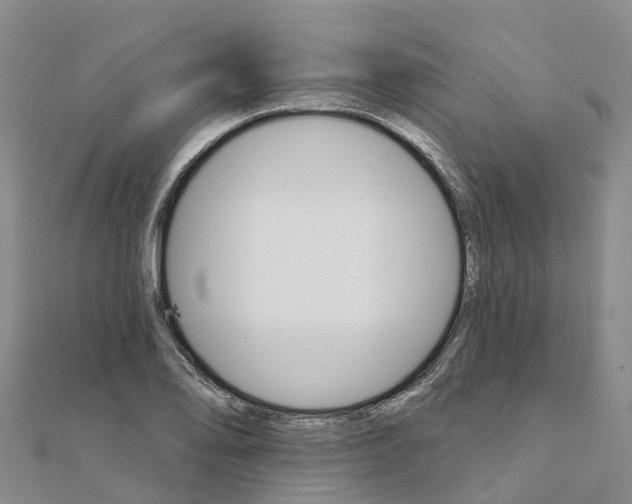 X0000111511078200908111304