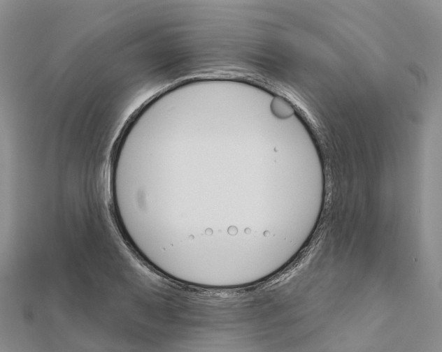X0000111511079200908111304