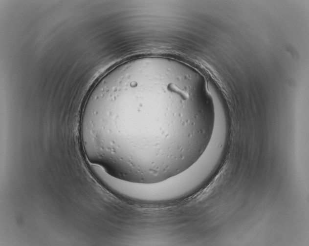 X0000111511081200908111304