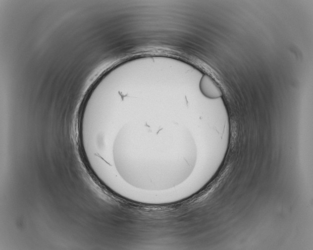 X0000111511082200908111304