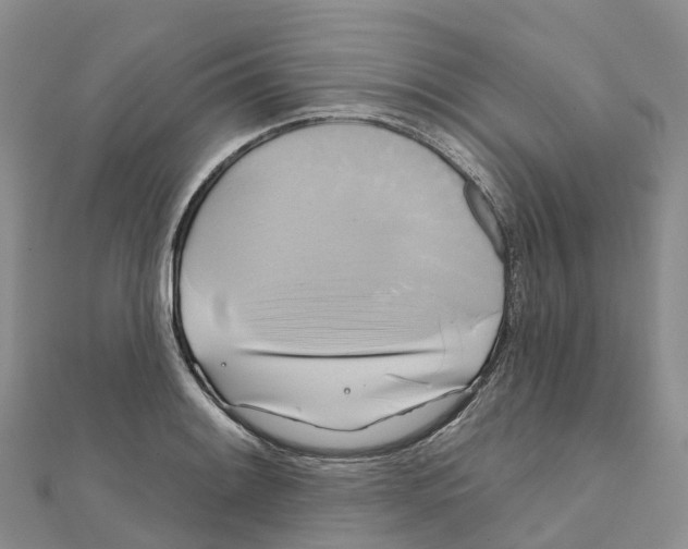 X0000111511084200908111304