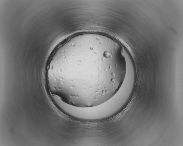 X0000111511085200908111304
