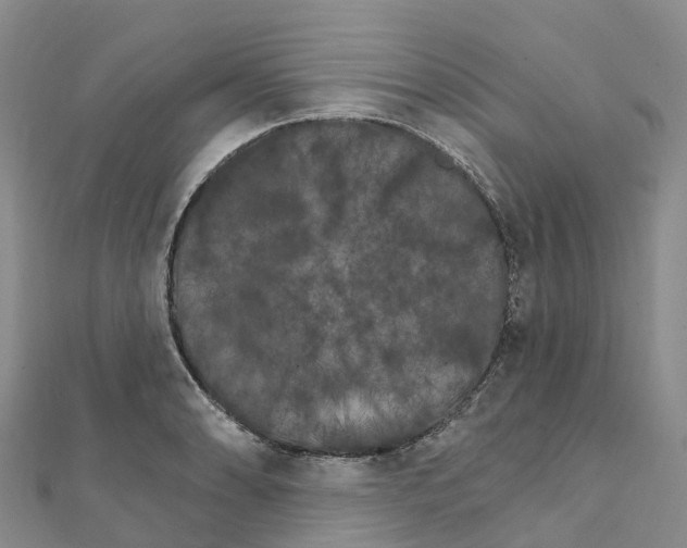 X0000111511086200908111304