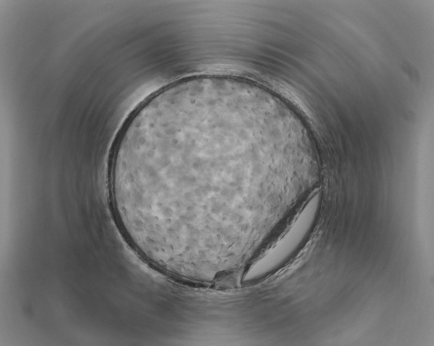 X0000111511087200908111304