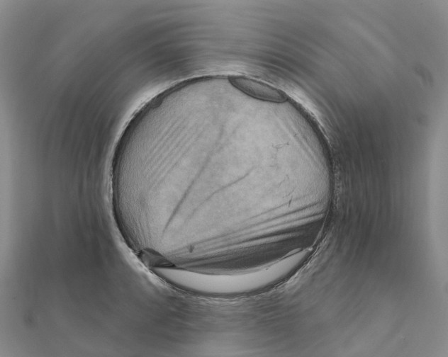 X0000111511088200908111304