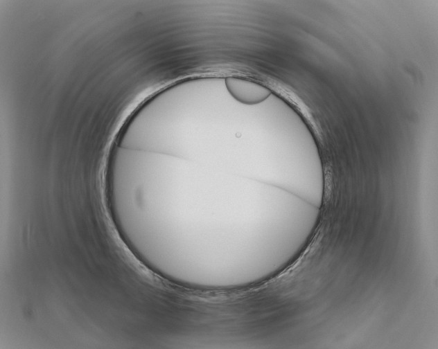X0000111511091200908111304