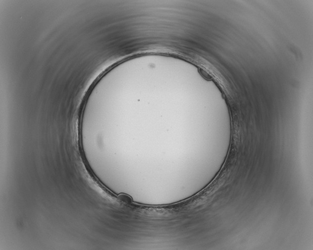 X0000111511092200908111304
