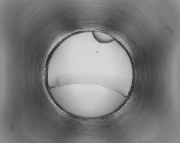 X0000111511093200908111304