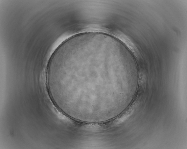 X0000111511094200908111304