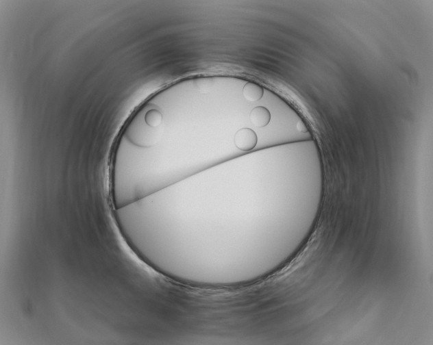 X0000111511095200908111304