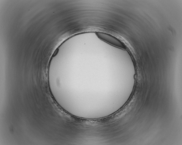 X0000111511097200908111303