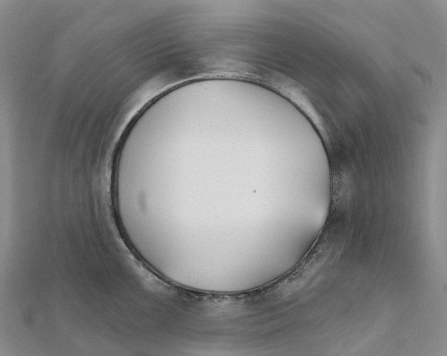 X0000111511099200908111303