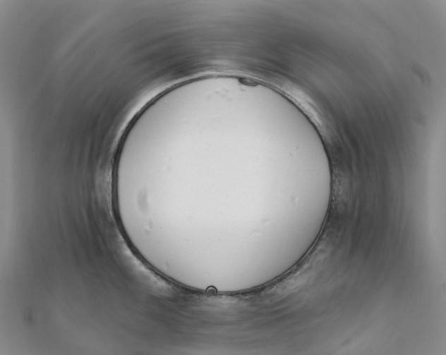 X0000111511100200908111303
