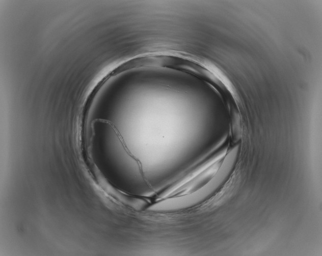 X0000111511101200908111303