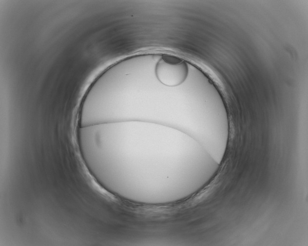 X0000111511102200908111303