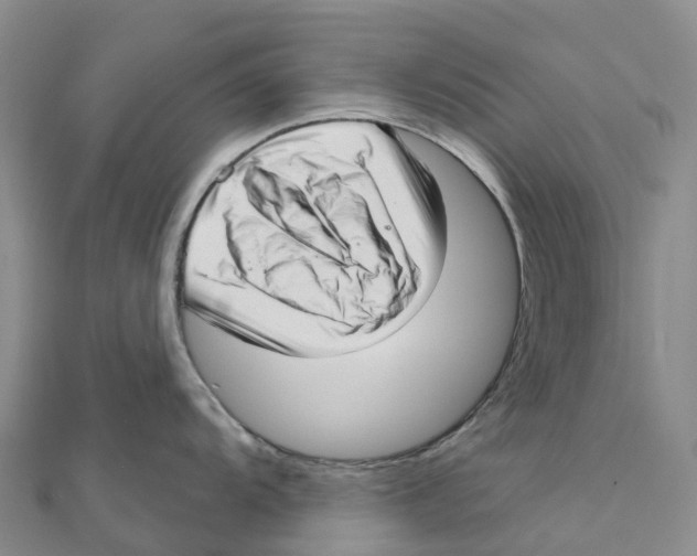 X0000111511104200908111303