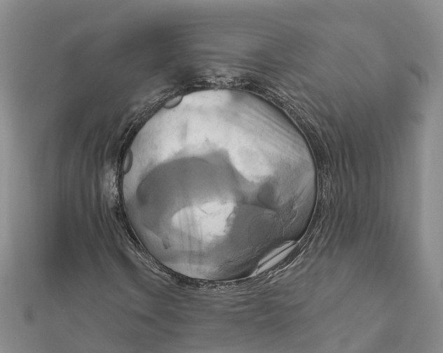 X0000111511106200908111302