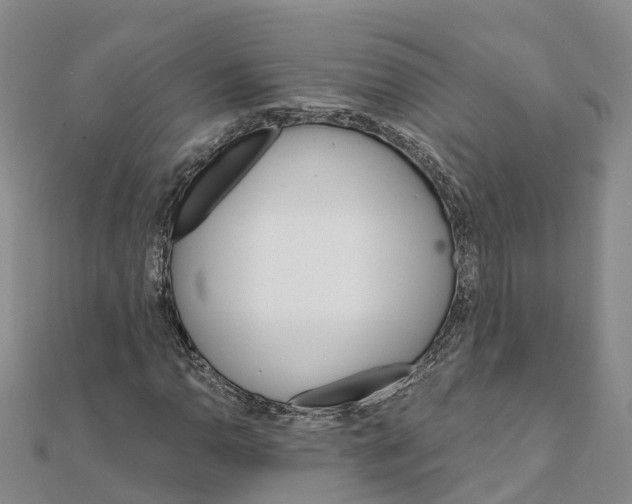 X0000111511110200908111303