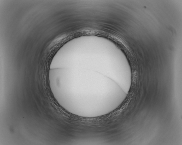 X0000111511111200908111303
