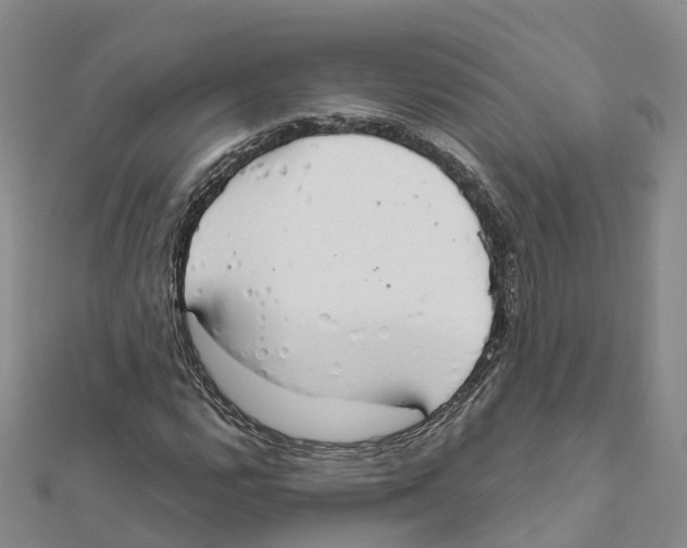 X0000111511112200908111303