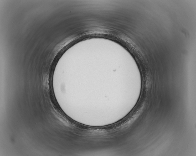 X0000111511113200908111303